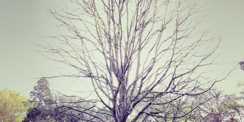 SCADA与工业自动化控制系统：驱动制造业效率与质量双提升的核心引擎