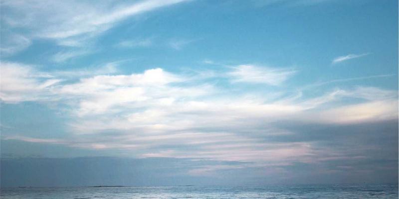 协作机器人集成：基于控制系统与工业物联网的安全效率双赢策略