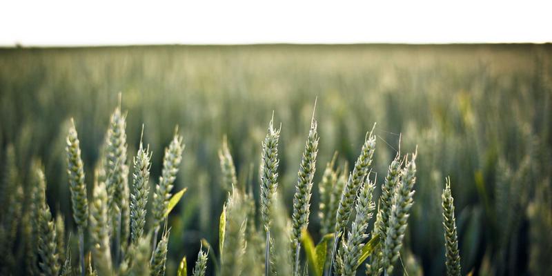 工业物联网与AI驱动的预测性维护：深圳福克斯引领智能制造设备健康管理新策略