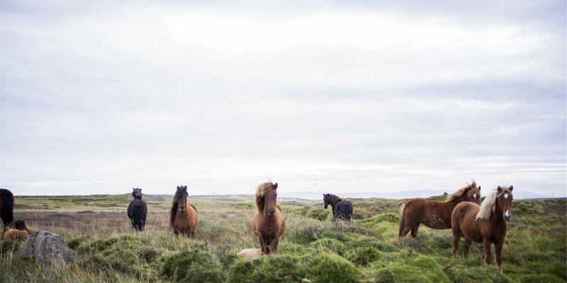 工业自动化5.0：机器人集成、工业物联网与SCADA的融合革命