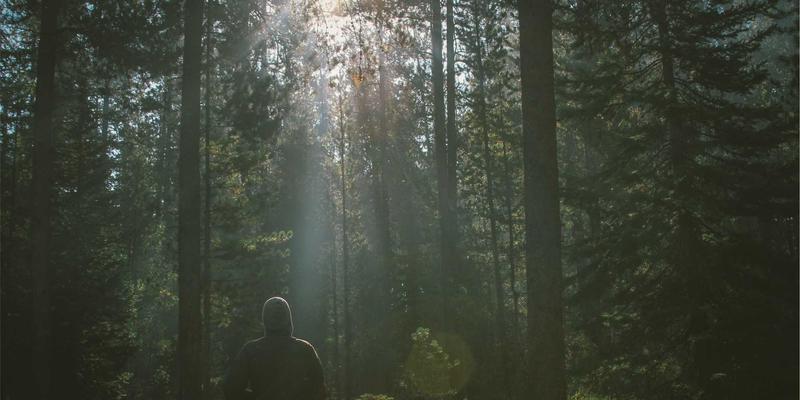 工业自动化中的数字孪生：从控制系统、SCADA到智能制造的全生命周期管理