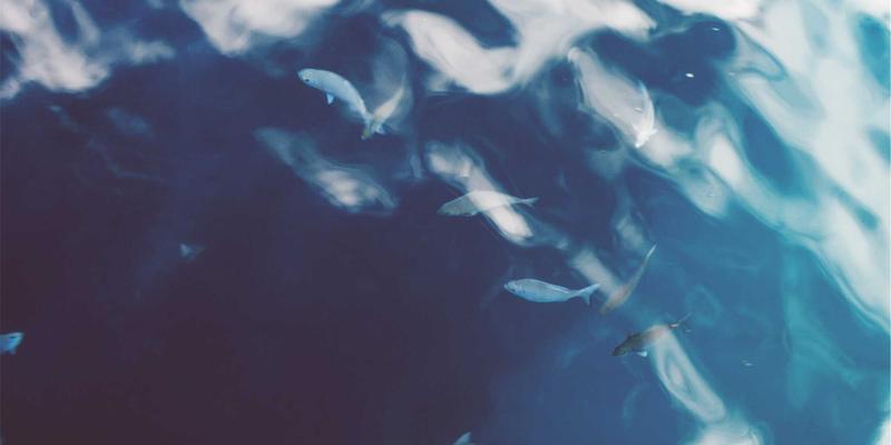 工业自动化新浪潮：SCADA、机器人集成与未来制造