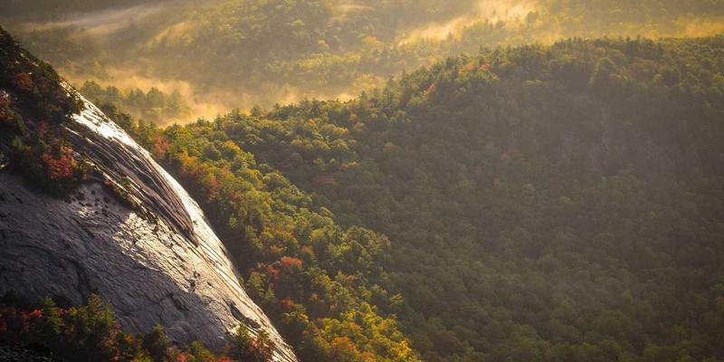 工业自动化最佳实践：融合控制系统、机器人集成与SCADA的智能生产之道