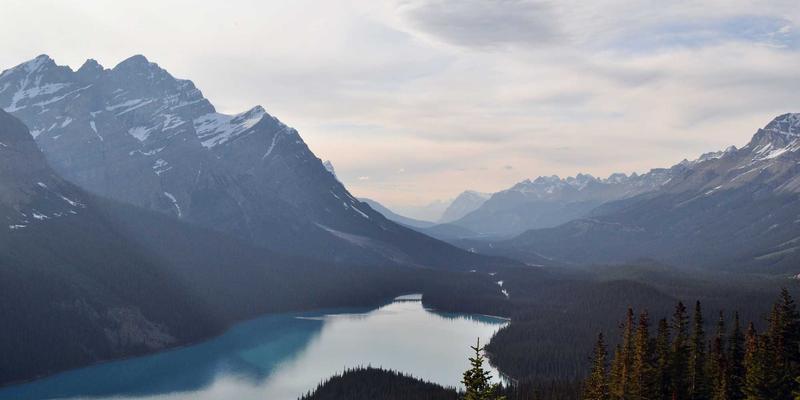 工业自动化演进：从PLC控制系统到工业物联网的融合之路