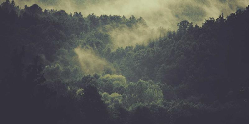 机器人集成新纪元：深圳福克斯如何用低代码控制系统重塑工业自动化